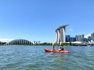 HW-2803-YellowGrp-11